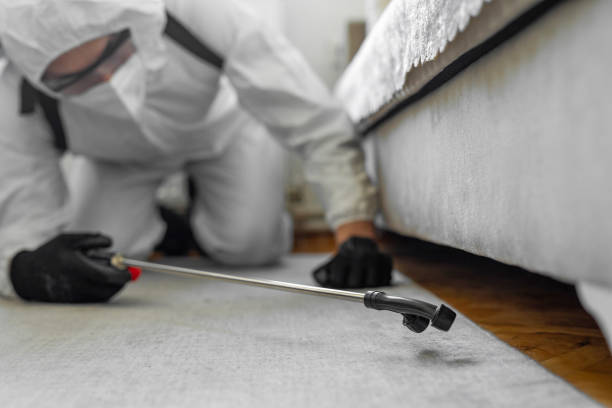 Professional Termite Control technician working in Netcong, NJ