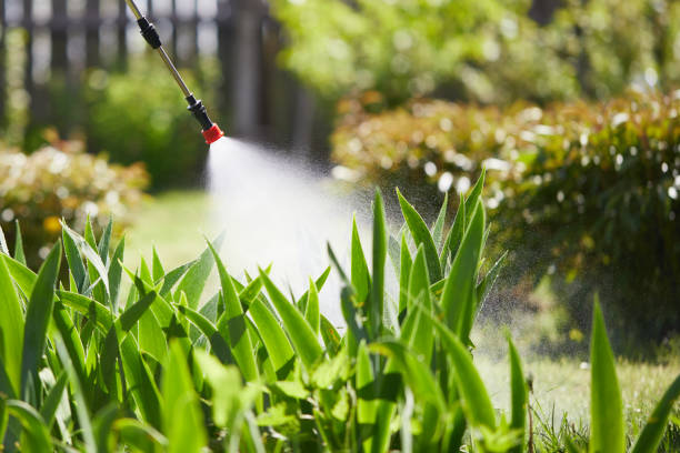 24/7 Emergency Termite Control experts in Netcong, NJ